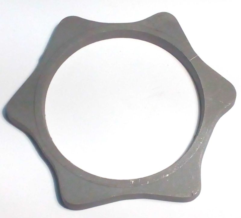 Brake Shoe Ring CI (TWS)